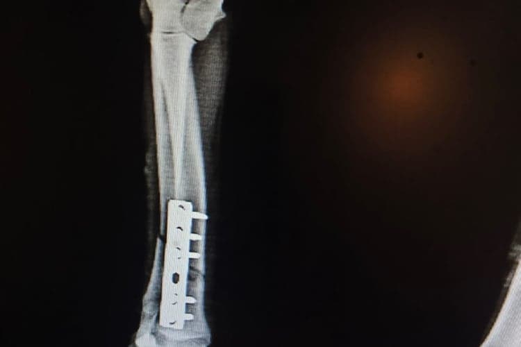 Pet Care Clinic Gallery Image 3